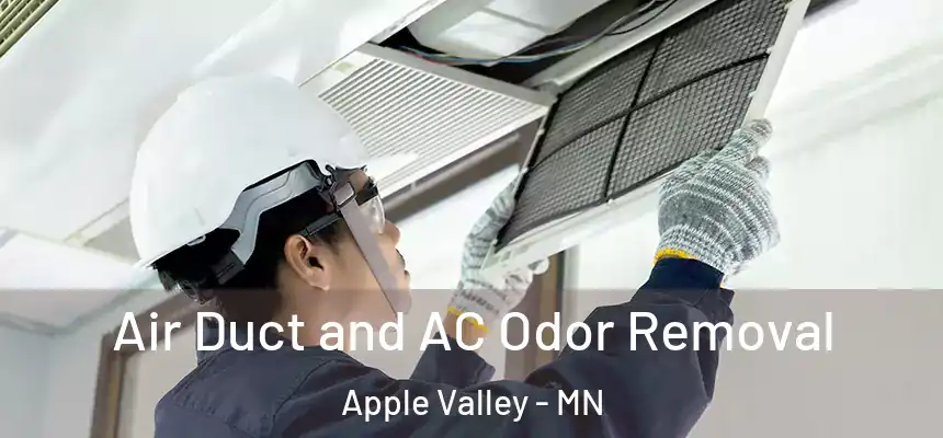 Air Duct and AC Odor Removal Apple Valley - MN