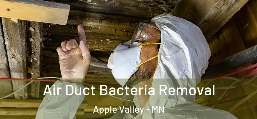 Air Duct Bacteria Removal Apple Valley - MN