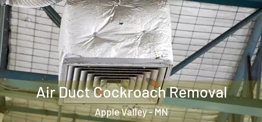  Air Duct Cockroach Removal Apple Valley - MN