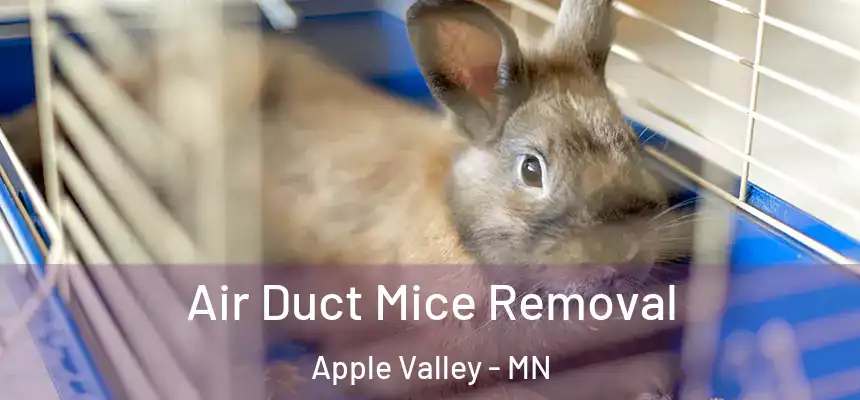 Air Duct Mice Removal Apple Valley - MN
