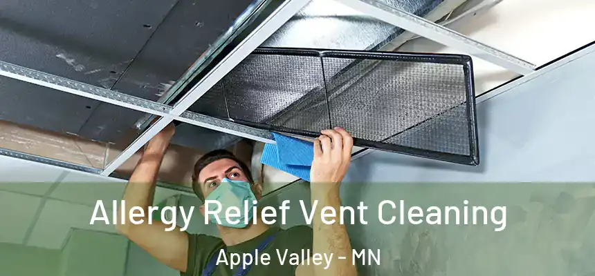 Allergy Relief Vent Cleaning Apple Valley - MN