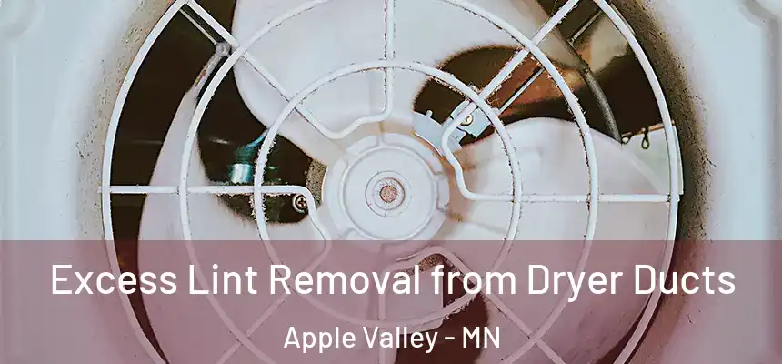 Excess Lint Removal from Dryer Ducts Apple Valley - MN