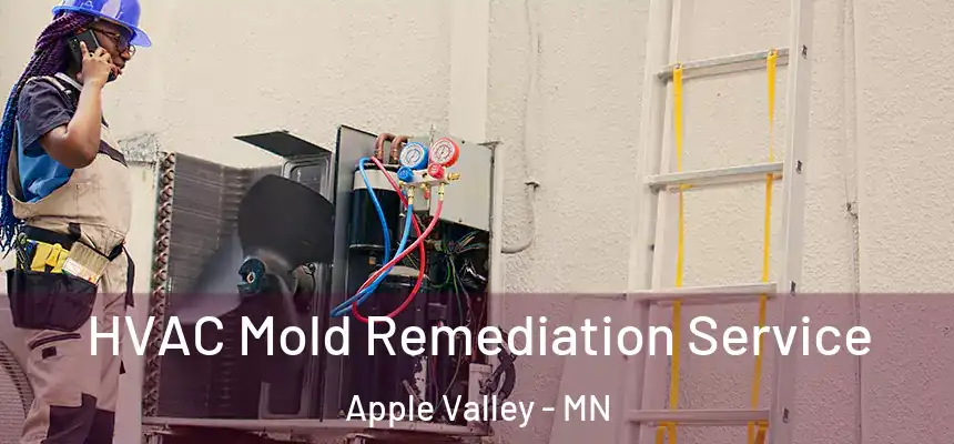 HVAC Mold Remediation Service Apple Valley - MN