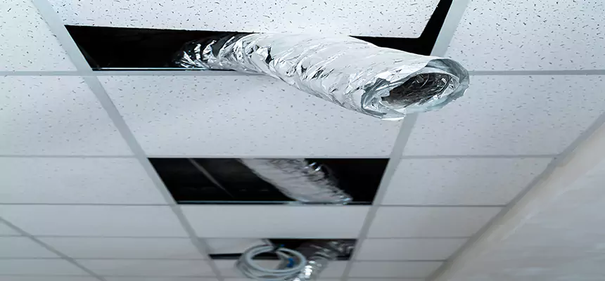 Our Air Duct Pet Hair Removal Services in Apple Valley, MN