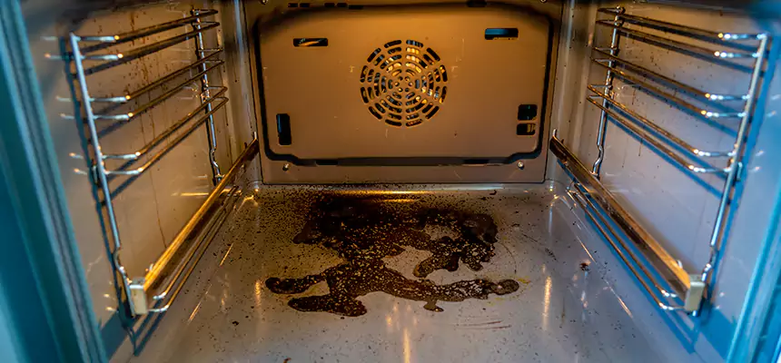 Our Dryer Vent Mold Cleaning Services in Apple Valley, MN