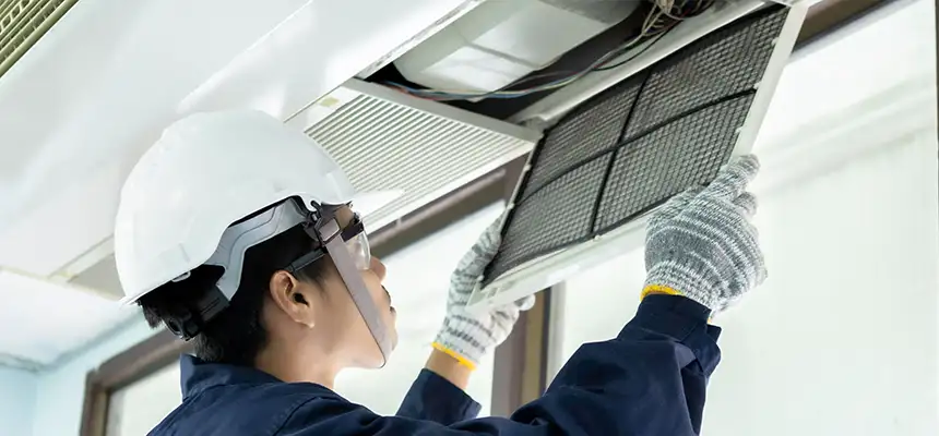 Our Lint Trap Cleaning Service Services in Apple Valley, MN