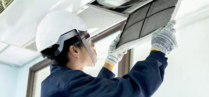 Our Mold & Mildew Removal from Air Ducts Services in Apple Valley, MN