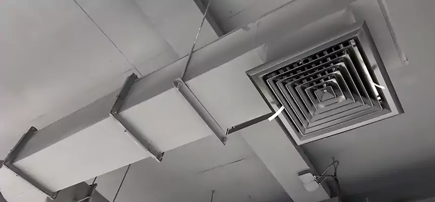 Our Pest Removal From Ducts Services in Apple Valley, MN