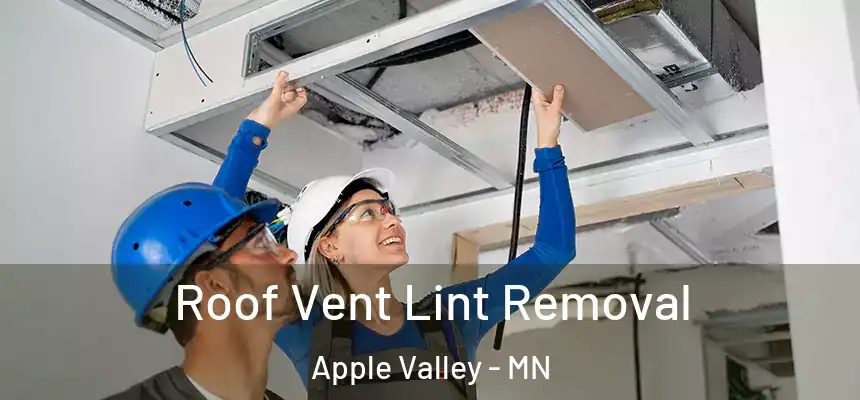 Roof Vent Lint Removal Apple Valley - MN