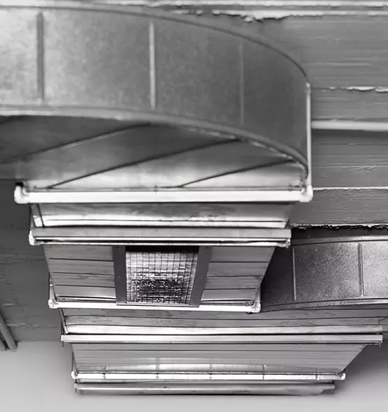 Professional Air Duct Pet Hair Removal in Apple Valley, MN