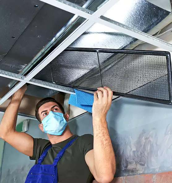 Professional Air Duct Pollen Cleaning in Apple Valley, MN