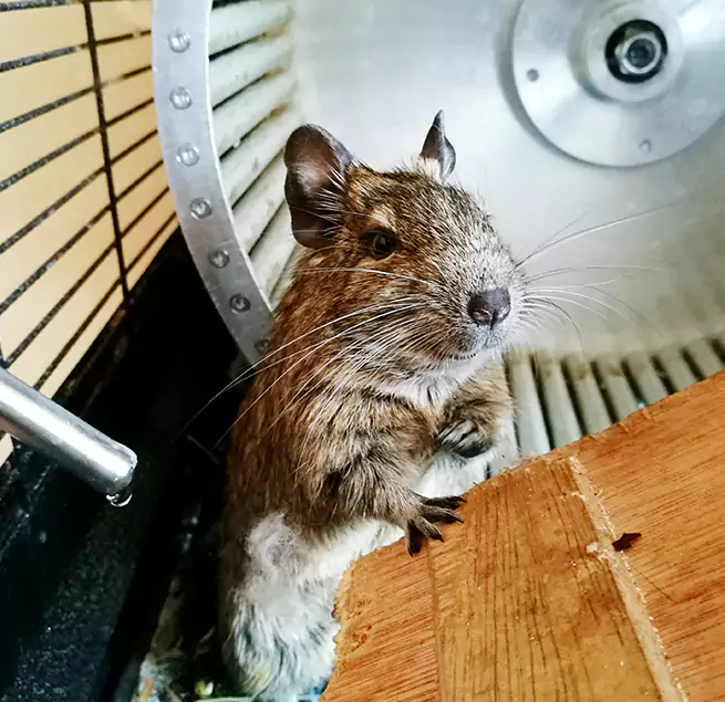 Why Homeowners & Businesses Trust Us Apple Valley, MN