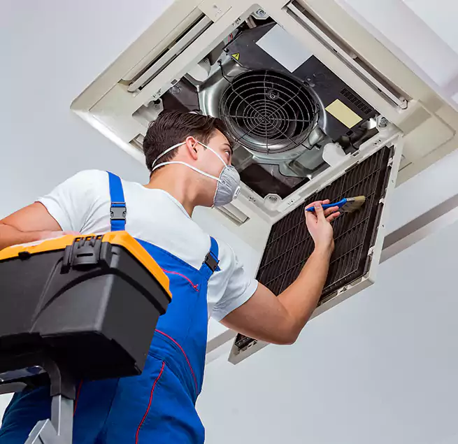 Why Homeowners & Businesses Trust Us in Apple Valley, MN?